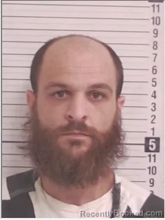 Mugshot of ALI JORDAN MITCHELL MAZE HENDAWI