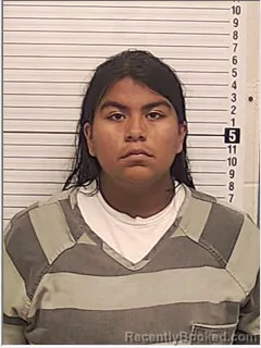 Mugshot of JENNIFER HERNANDEZ
