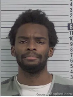 Mugshot of TERRANCE LAMONT OLIVER