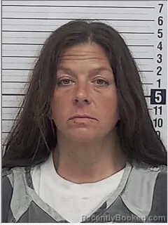 Mugshot of JODI LYNN SWISHER