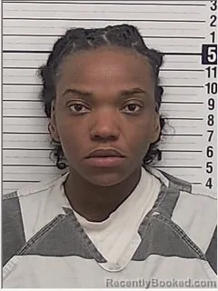 Mugshot of AUTUMN BRIANA GRAY