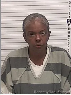 Mugshot of JESSICA LYNN DAVIDSON booked in Bay County, Florida on March 8, 2026