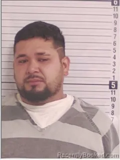 Mugshot of JOSE R TORRES-ORELLANA