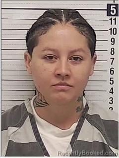 Mugshot of LESLIE BRINTON