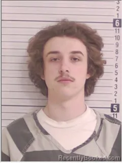 Mugshot of BRANDON M BRADY