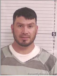 Mugshot of DAVID DOMINGUEZ-ALVARENGA