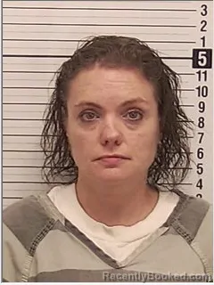 Mugshot of JAMIE LYNN WISE