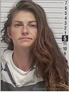 Mugshot of BRIANNA MARIE NORRIS