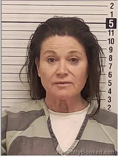 Mugshot of MELISSA LOCKLEAR MANER