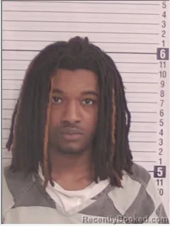 Mugshot of DAMANI DELOVANTI BROWN JACKSON