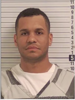 Mugshot of GILFARNEY CASTRO-FERREIRA