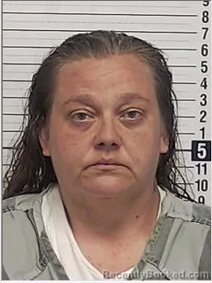 Mugshot of HEATHER NICOLE MCBRYDE