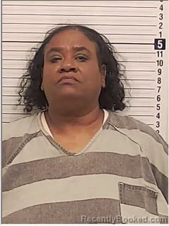 Mugshot of JENNIFER MARLENE WILLIAMS-SAVAGE