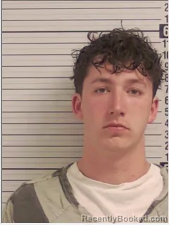 Mugshot of TYLER STONE WORK