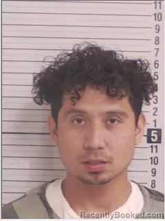 Mugshot of YONI MANUEL ROMAN ZARAGOZA