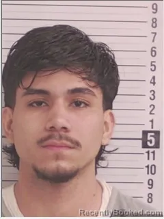 Mugshot of ROONEY ALEJANDRO AVILES-GARZON
