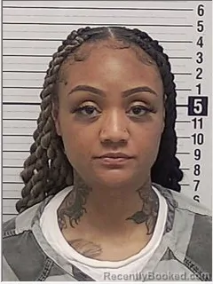 Mugshot of JORDAN ELIZABETH CANNON