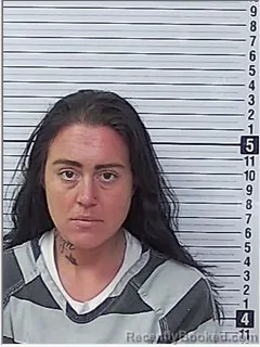 Mugshot of ALISHA RENEE PROSKIN