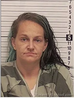 Mugshot of SHANDA DEANN HILL