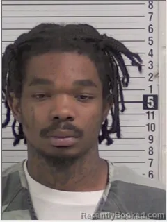 Mugshot of DEVIN SANTWAN HOLDEN