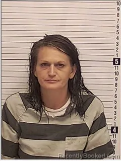 Mugshot of SARAH MARIE CHAPMAN