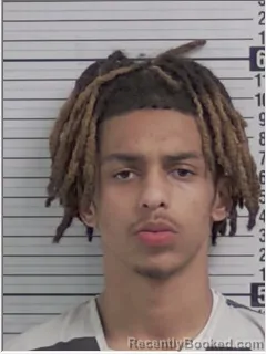 Mugshot of TERRY LAMAR ANDREWS