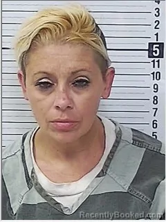Mugshot of EVA MARIE HADDOCK