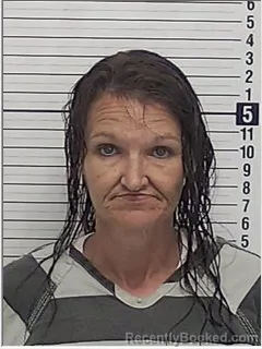Mugshot of CINDY MARIE LISENBY