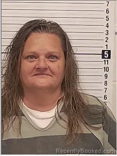 Mugshot of TOBITHA ROSE HUFF