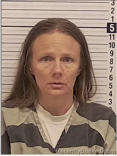 Mugshot of AMANDA JEAN JOHNSON