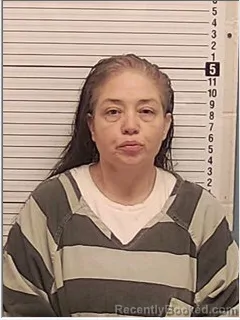 Mugshot of DONNA MARIE COOPER