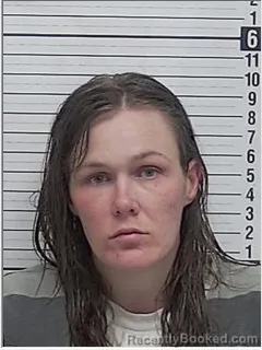 Mugshot of ASHLEY NICHOLE MELTON