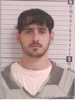 Mugshot of RICARDO ALEJANDRO RUIZ LAZO