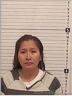 Mugshot of SANDRA JIMENEZ AZURDUY