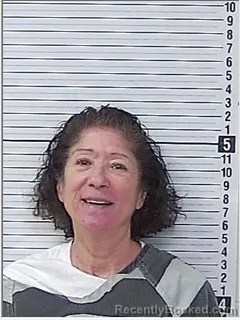 Mugshot of HEIDI MARLENE PHILLIPS