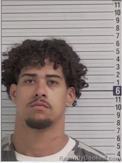 Mugshot of DALLAS JAMES WINNER-JOHNSON