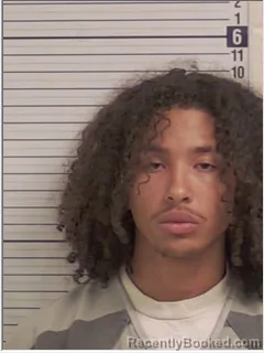 Mugshot of PRESTON ALEXANDER MAXIMUS NESBY