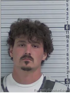 Mugshot of LOGAN LAMAR LAW