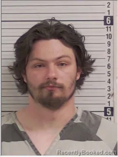 Mugshot of NICKOLAS GENE LAURILLA