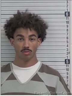 Mugshot of ZEPHANIAH RAMON MALONE booked in Bay County, Florida on April 5, 2026