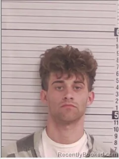 Mugshot of ETHAN WAYNE COLLINS booked in Bay County, Florida on April 5, 2026