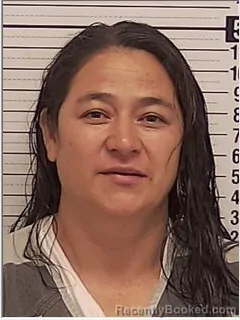 Mugshot of JUANA YANES-PEREZ booked in Bay County, Florida on April 5, 2026