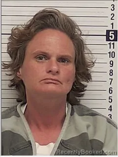 Mugshot of SHERI DENISE KELLY booked in Bay County, Florida on April 16, 2026