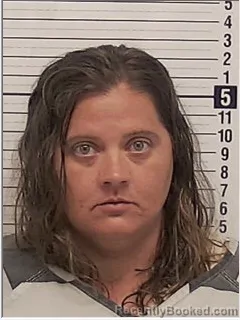 Mugshot of DENISE LYNN KLEMM booked in Bay County, Florida on April 17, 2026