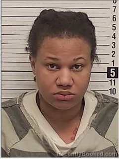 Mugshot of NIA MONEE YOUNG booked in Bay County, Florida on April 19, 2026