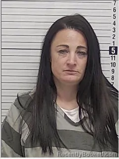 Mugshot of Kelly Nichole Ellis