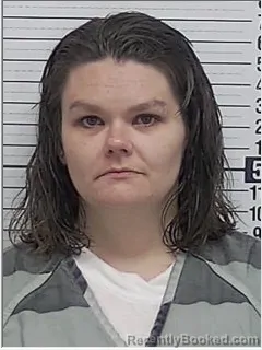 Mugshot of Shelby Lynn Bozeman