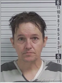 Mugshot of DAVID RYAN HELLINGS booked in Bay County, Florida on April 20, 2026