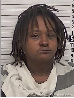 Mugshot of LAKISHA DENISE TISDALE booked in Bay County, Florida on April 21, 2026