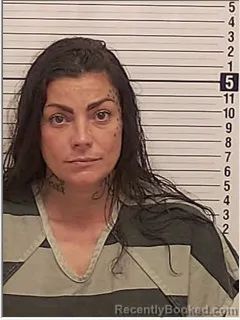 Mugshot of VALERIE LACE MORGAN booked in Bay County, Florida on April 22, 2026